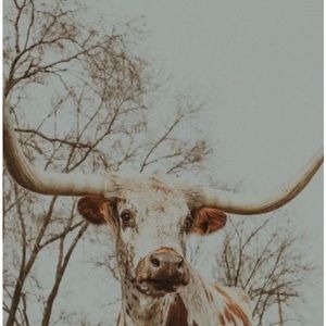 Meet your Posher, kylee